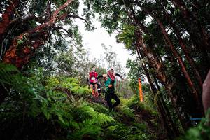 BIB: 
                            <button type="button" onclick="openModal(26202487)" class="btn btn-primary btn-sm float-right btn-popup" data-toggle="modal" data-target=".modal-high-quality">
                        <i class="fas fa-shopping-cart"></i> Add to Cart
                    </button>
                                            <button type="button" onclick="isThisMe(26202487, true)" class="btn btn-success btn-sm float-right btn-popup btn-isme hidden" data-toggle="tooltip" data-placement="bottom" title="นี่คือรูปของคุณใช่ไหม คลิกที่นี่เพื่อเอาเข้าอัลบั้ม">
                        <i class="fas fa-plus"></i> Add to album
                    </button>
                    <button type="button" onclick="isThisMe(26202487, false)" class="btn btn-warning btn-sm float-right btn-popup btn-isnotme hidden">
                        <i class="fas fa-ban"></i> Remove from album
                    </button>